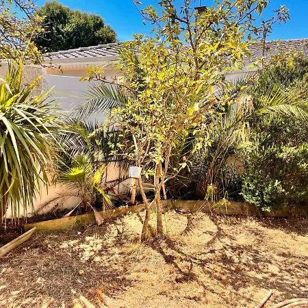 Clair Logis アンデルノ・レ・バン